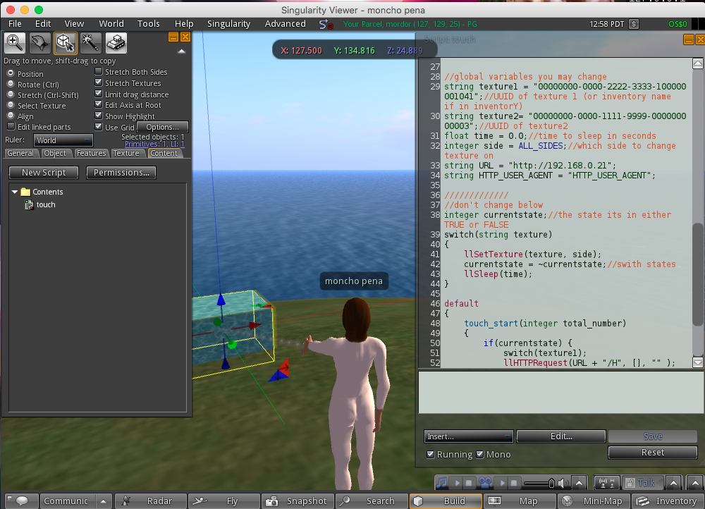 Singularity Script singularity_script